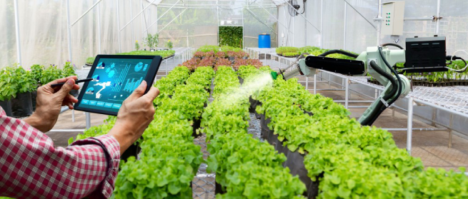 用于智慧农业牲畜监测设备的柔性 PCB。